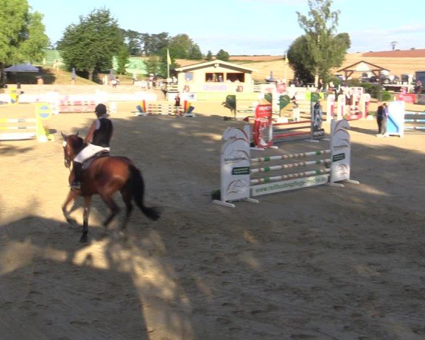Reitturnier Duderstadt 2024