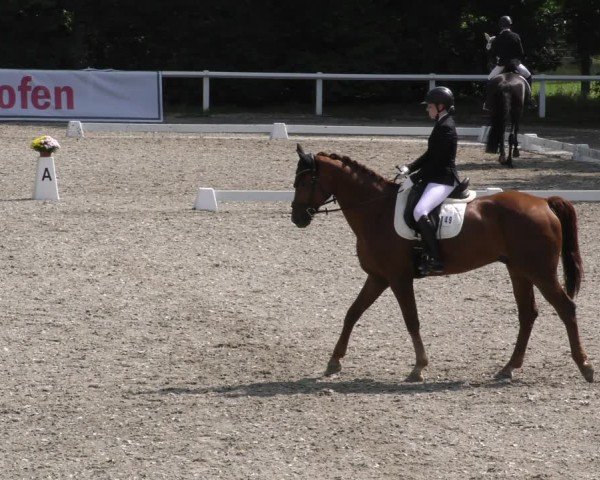 Reitturnier Zillhofen/Obb. 2024
