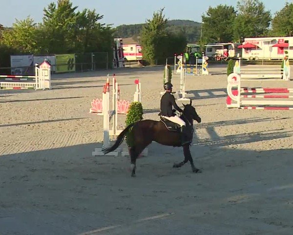 Reitturnier Großbardorf/Ufr. 2024