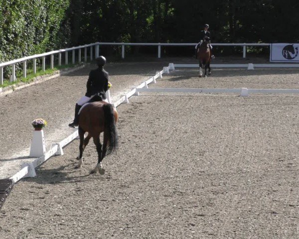 Reitturnier Zillhofen/Obb. 2024