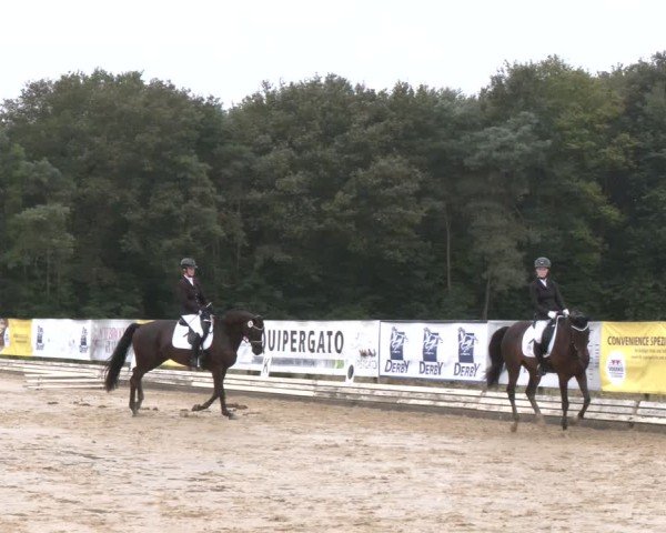 Reitturnier Ostbevern 2024