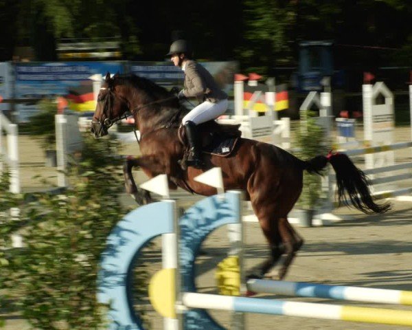 Reitturnier Walldorf/Winterheck 2024