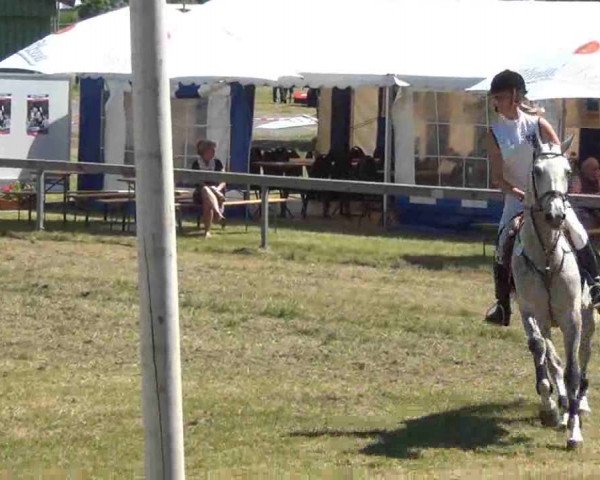 Nord-Ost-Pferd 2013
