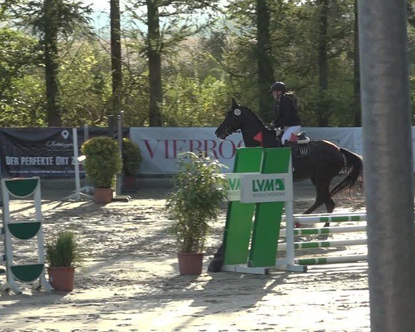 Reitturnier Sieversen - Rosengarten 2024