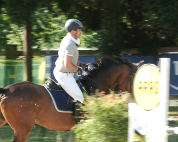 Reitturnier Walldorf/Winterheck 2024