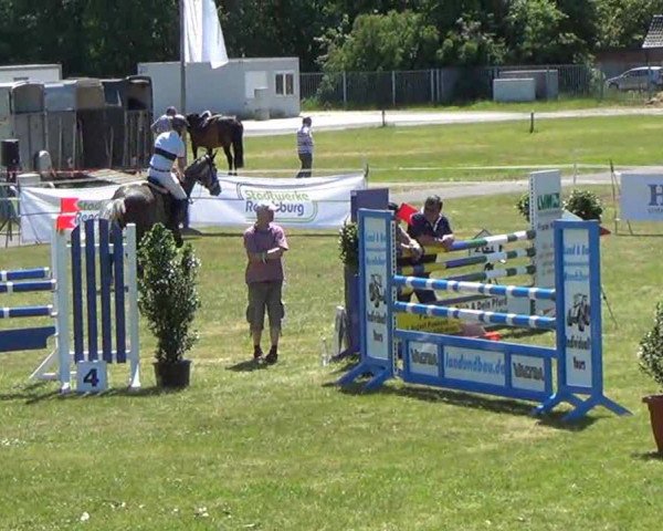 Nord-Ost-Pferd 2013