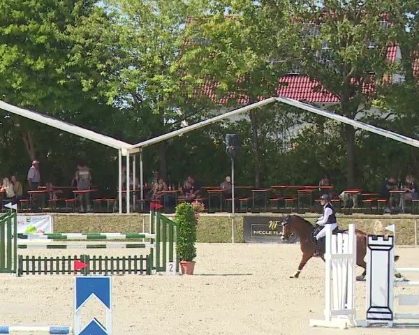 Reitturnier Großbardorf/Ufr. 2024