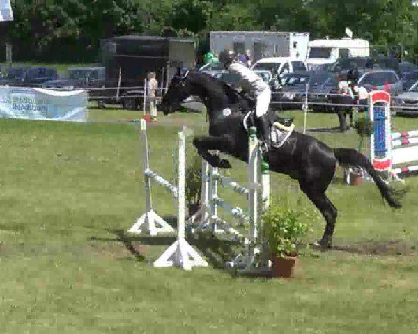 Nord-Ost-Pferd 2013
