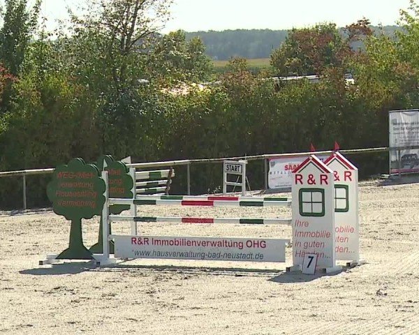Reitturnier Großbardorf/Ufr. 2024