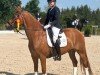 dressage horse Proud Dante Mio (German Riding Pony, 2004, from Dexter)