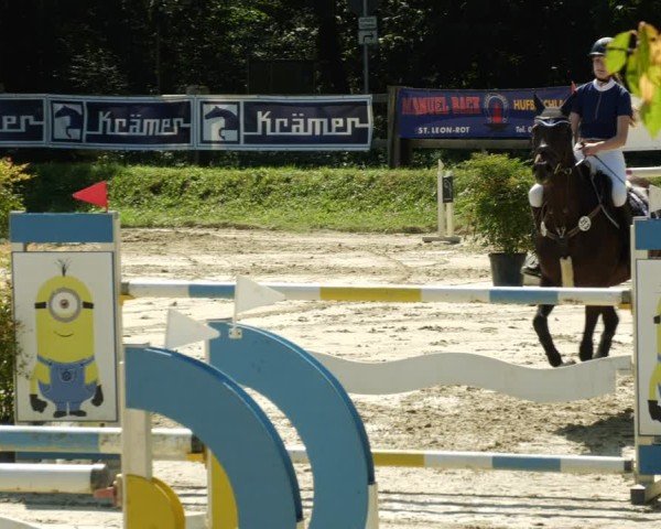 Reitturnier Walldorf/Winterheck 2024