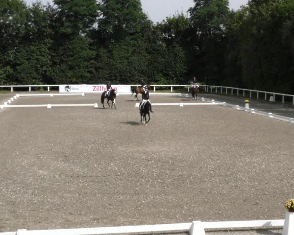 Reitturnier Zillhofen/Obb. 2024