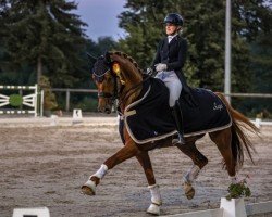 dressage horse Frederik 130 (Hanoverian, 2015, from Fürst Fohlenhof)