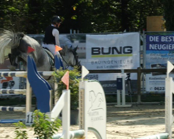 Reitturnier Walldorf/Winterheck 2024