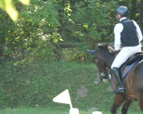 Reitturnier Walldorf/Winterheck 2024