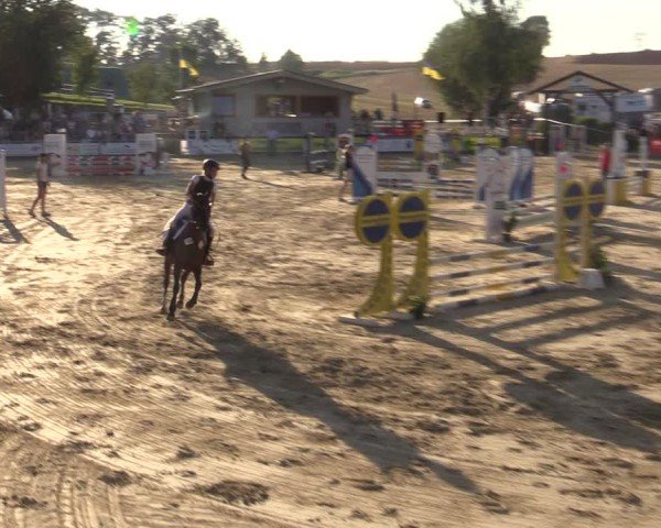 Reitturnier Duderstadt 2024