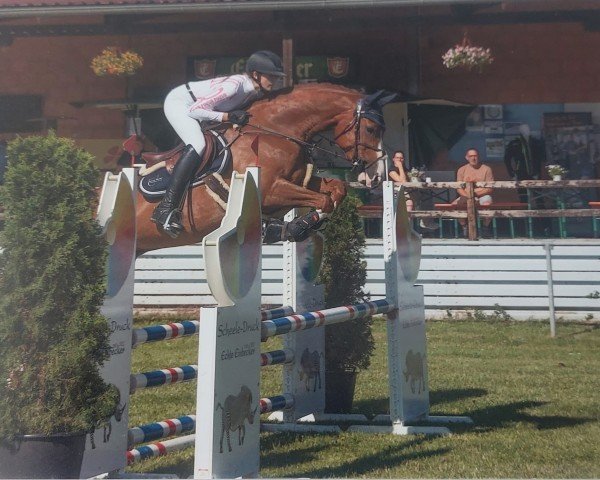 Springpferd Hickstead's Moon Kw (Hannoveraner, 2018, von Hickstead White)