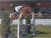 jumper Hickstead's Moon Kw (Hanoverian, 2018, from Hickstead White)