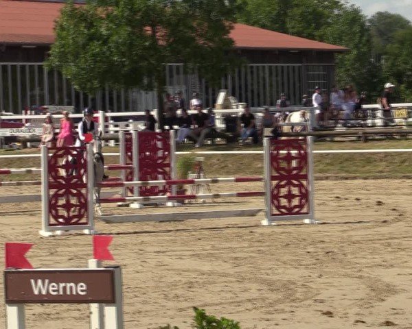 Reitturnier Werne 2024