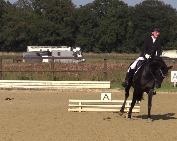 Reitturnier Ostbevern 2024