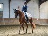 broodmare Foxy (Oldenburg, 2016, from Fashion Maker)