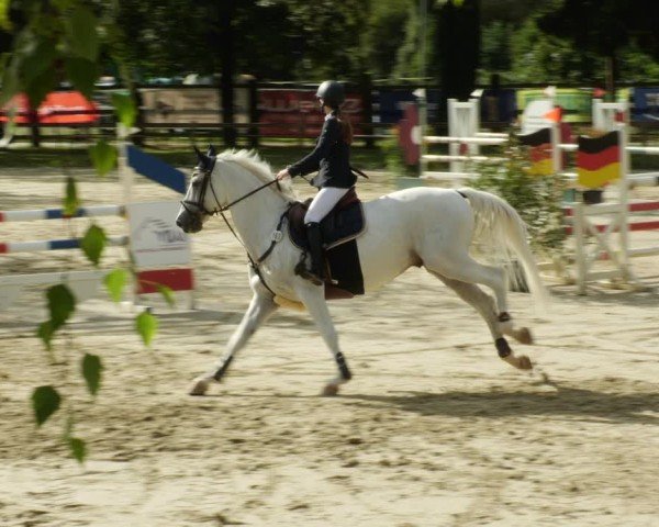 Reitturnier Walldorf/Winterheck 2024