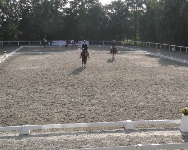Reitturnier Zillhofen/Obb. 2024