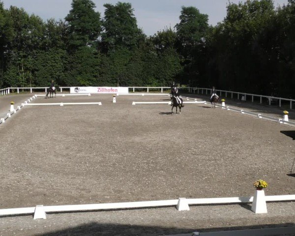 Reitturnier Zillhofen/Obb. 2024