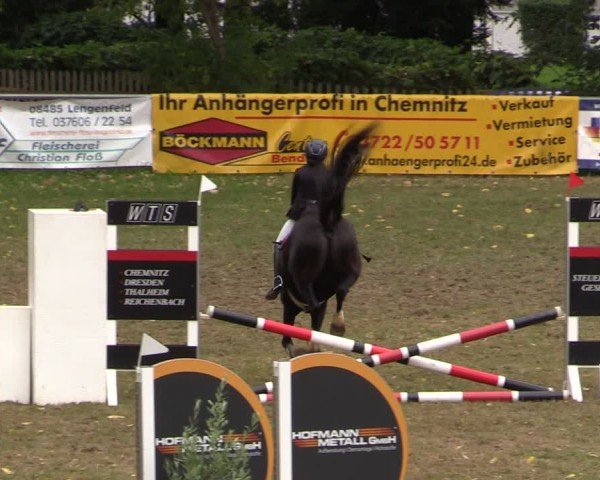 Reitturnier Lengenfeld/Vogtl. 2024