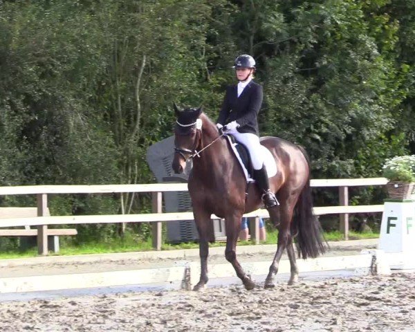 Reitturnier Kleinsolter Turniertage 2024