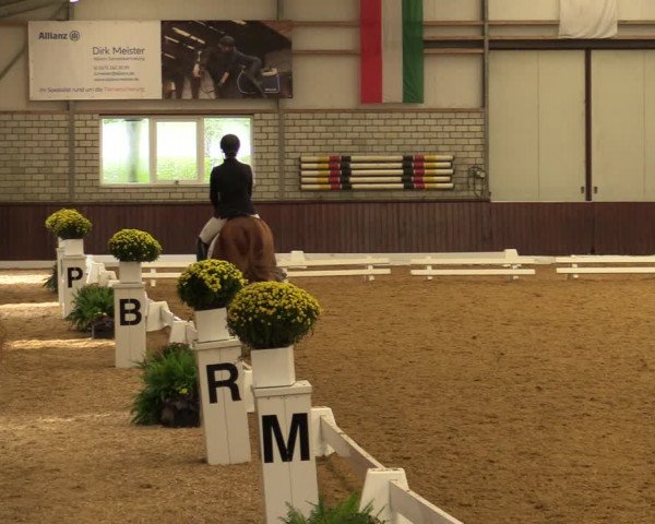 Reitturnier Kirchhellen-RSV Zur Linde 2021