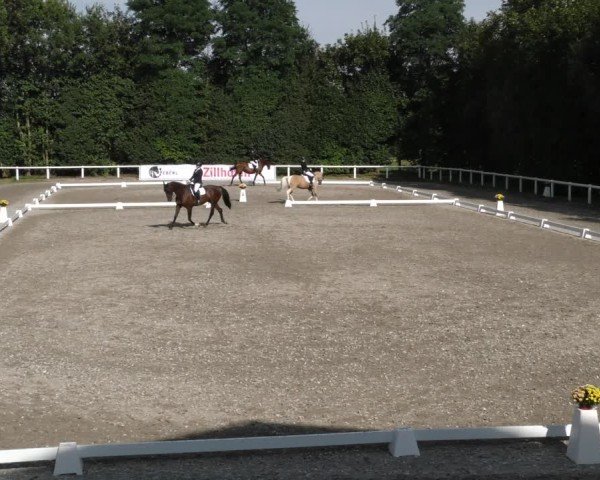 Reitturnier Zillhofen/Obb. 2024