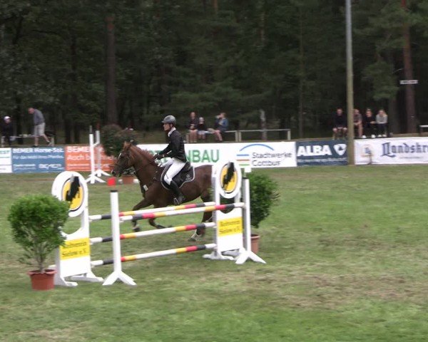 Reitturnier Cottbus-Sielow 2024