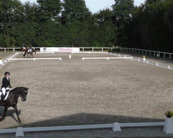 Reitturnier Zillhofen/Obb. 2024
