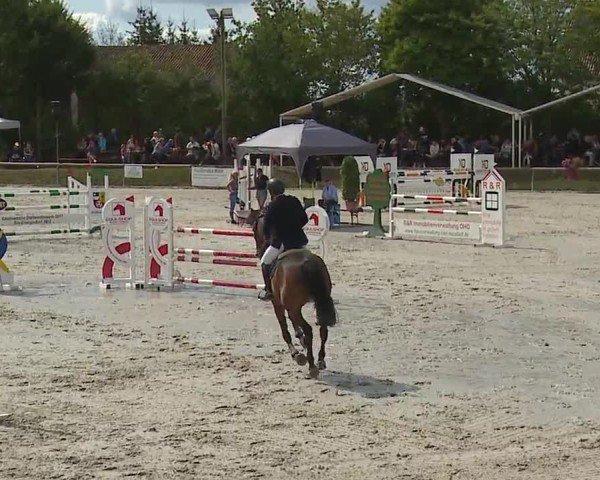 Reitturnier Großbardorf/Ufr. 2024
