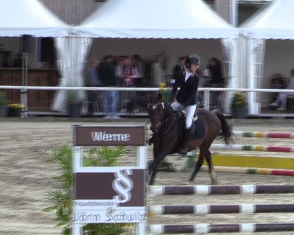 Reitturnier Werne 2024