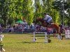 jumper Paola 254 (Hanoverian, 2018, from Perigueux)