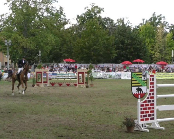 Reitturnier Aschersleben 2024