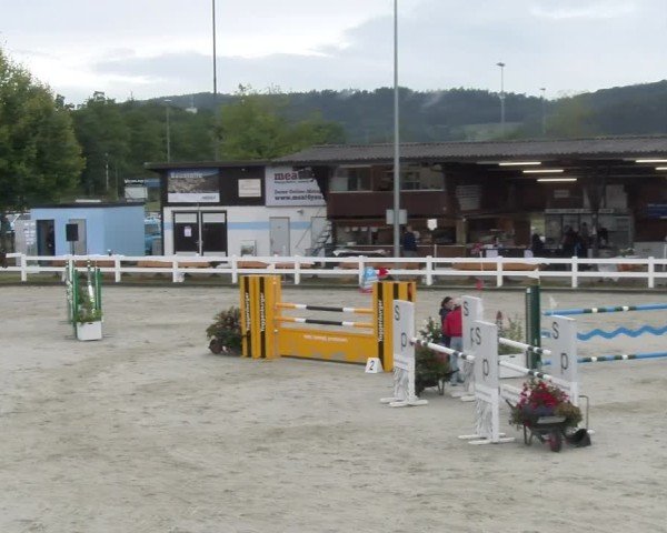 Reitturnier Hüntwangen 2024