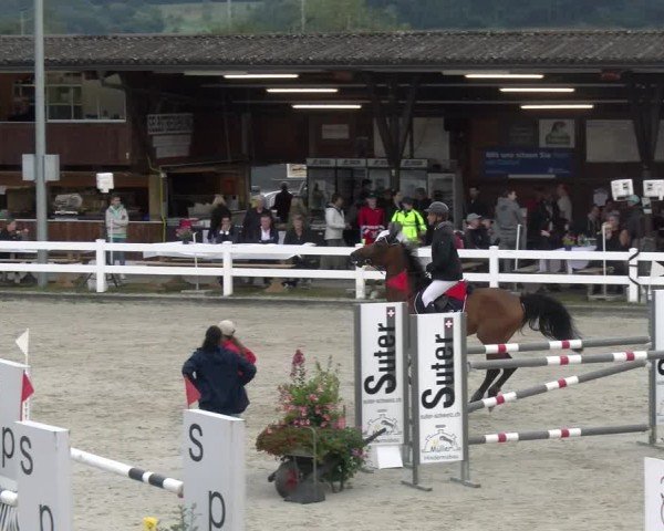 Reitturnier Hüntwangen 2024