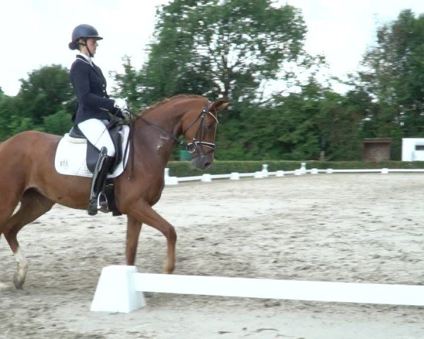Reitturnier Werne 2024