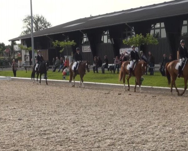 Fröndenberg 2013