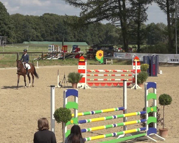 Reitturnier Sieversen - Rosengarten 2024