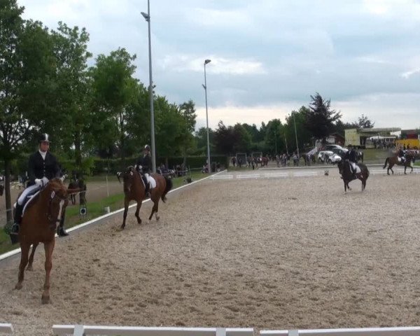 Fröndenberg 2013