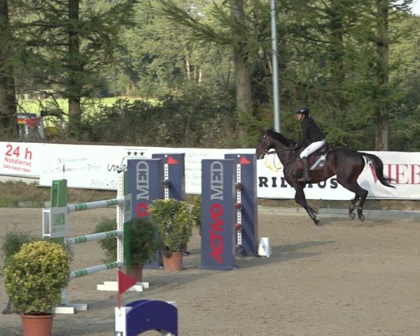 Reitturnier Sieversen - Rosengarten 2024