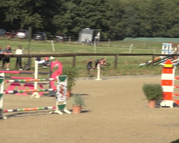 Reitturnier Sieversen - Rosengarten 2024