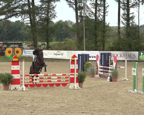 Reitturnier Sieversen - Rosengarten 2024