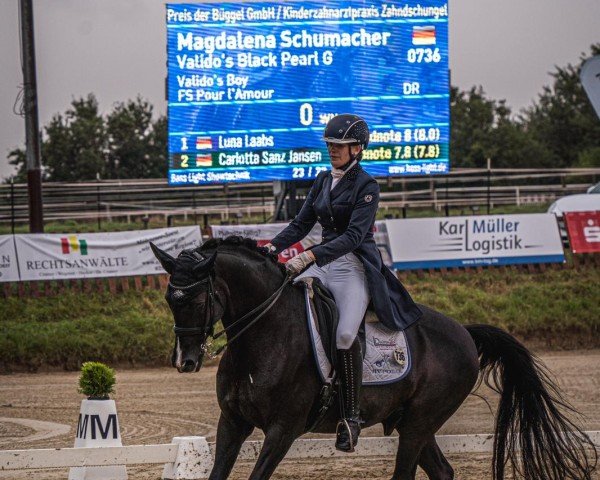 dressage horse Valido's Black Pearl G (German Riding Pony, 2008, from Valido's Boy)