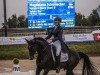 dressage horse Valido's Black Pearl G (German Riding Pony, 2008, from Valido's Boy)