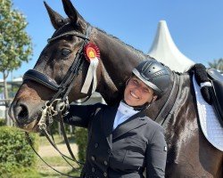 dressage horse San Cisco (Hanoverian, 2008, from St. Moritz)